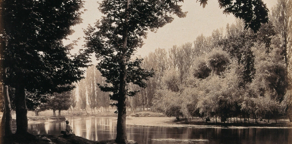 A meandering water canal with tall trees on its shores and a man sitting along the canal in the foreground.