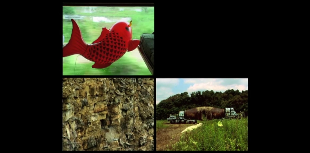 A film screengrab showing a collage of photographs featuring a redfish, a rocky cliff side and a truck in a grassy field.