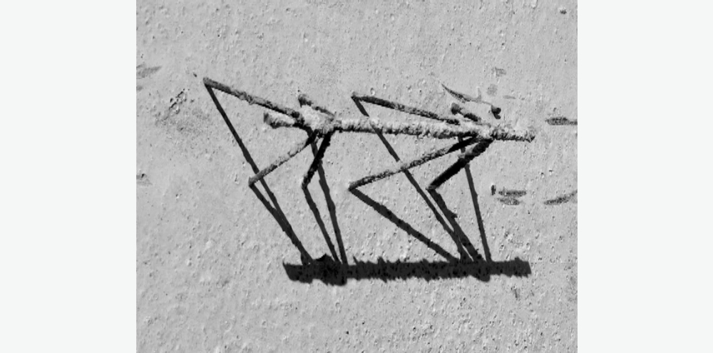 A black and white photograph of a metal wire sculpture of an insect-like creature with its shadow at the bottom.